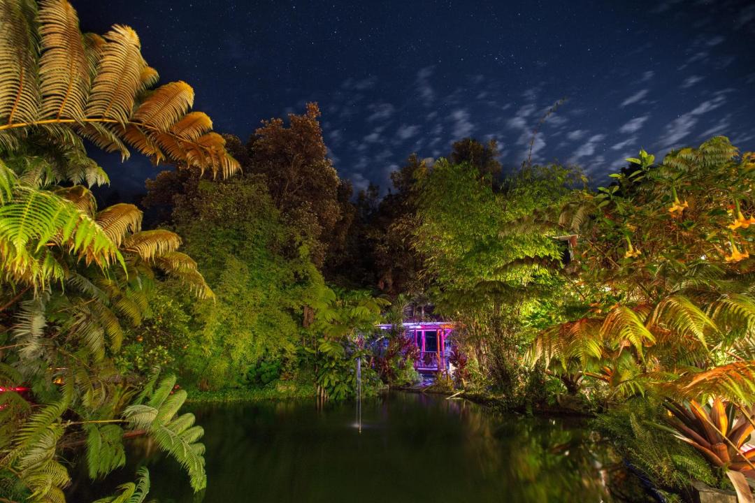 Photo of Others in Volcano