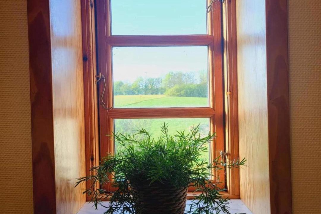 Photo of Others in Faaborg