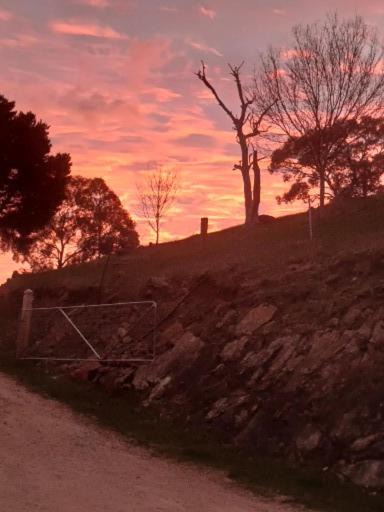 Photo of Others in Gemmells