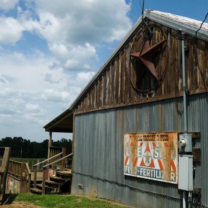 Photo of Others in Minden