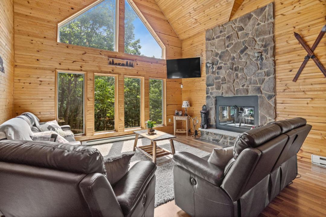 Photo of Livingroom in Mount Pocahontas