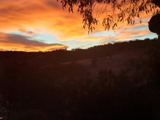 Photo of Others in Gemmells