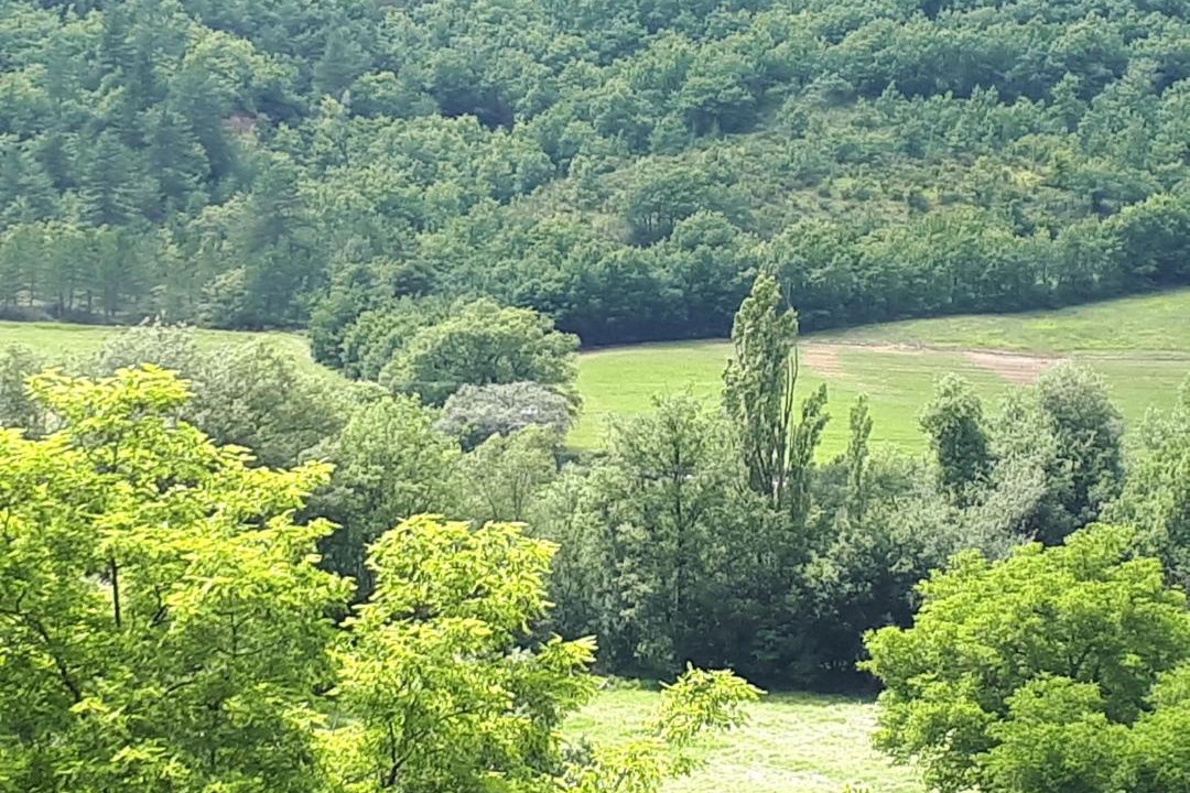 Photo of Others in Thoard