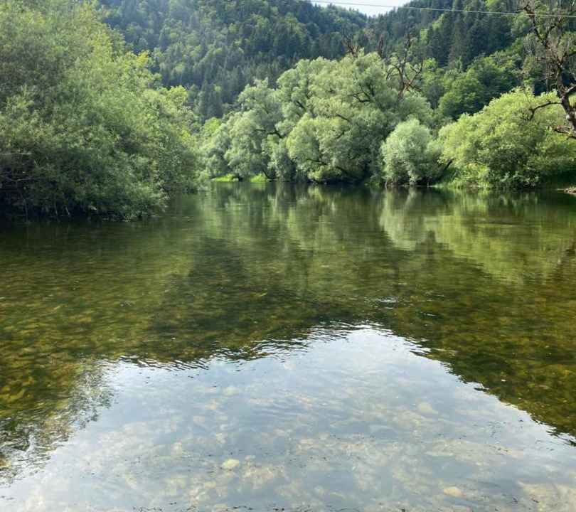 Photo of Others in Roche