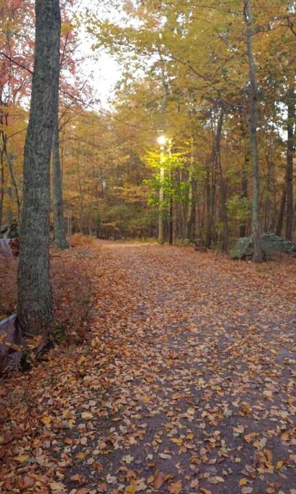 Photo of Others in Cresco