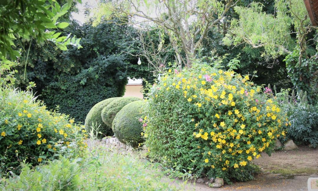 Photo of Others in Asnieres sur Vegre