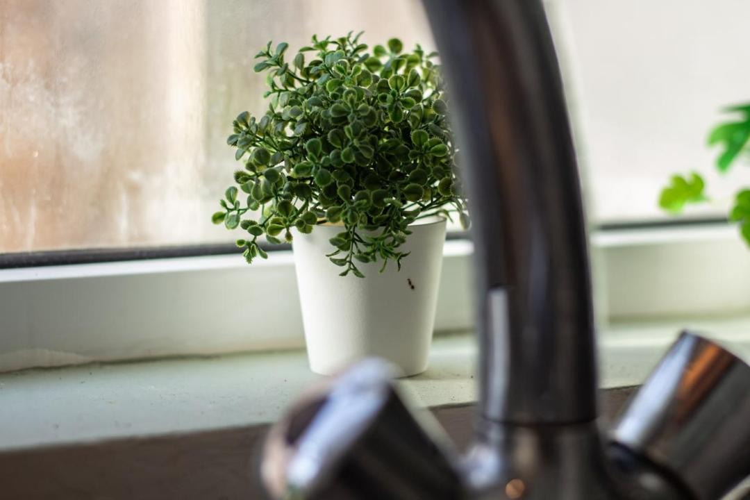 Photo of Others in Preston