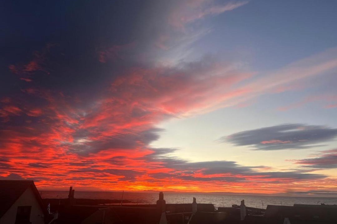 Photo of Others in Montrose