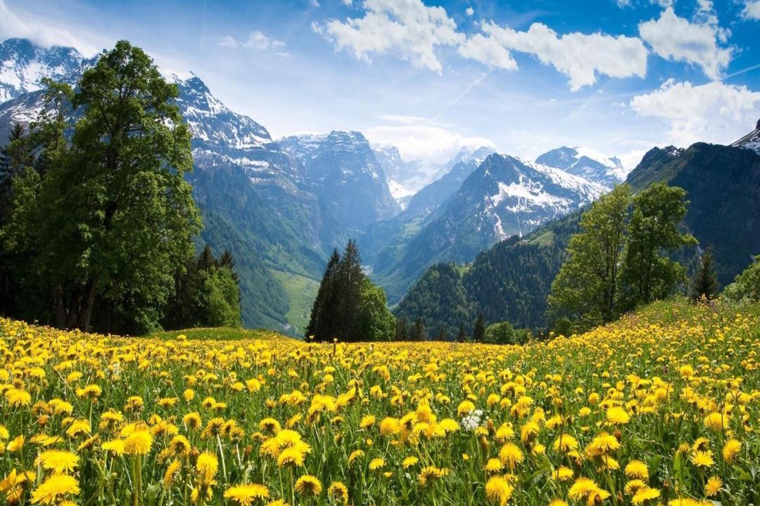 Photo of Others in Bramans