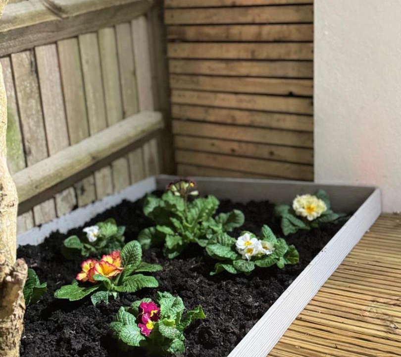 Photo of Others in South Heighton