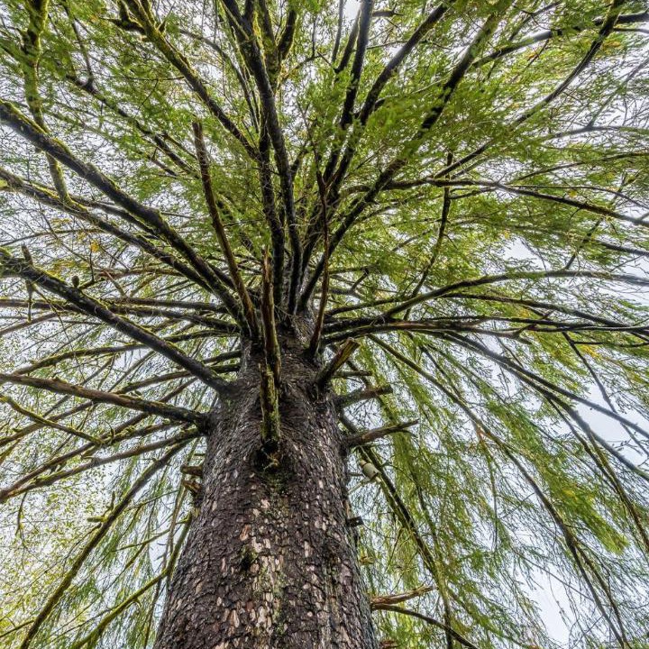 Photo of Others in Beaver