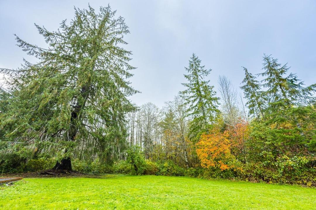 Photo of Others in Beaver