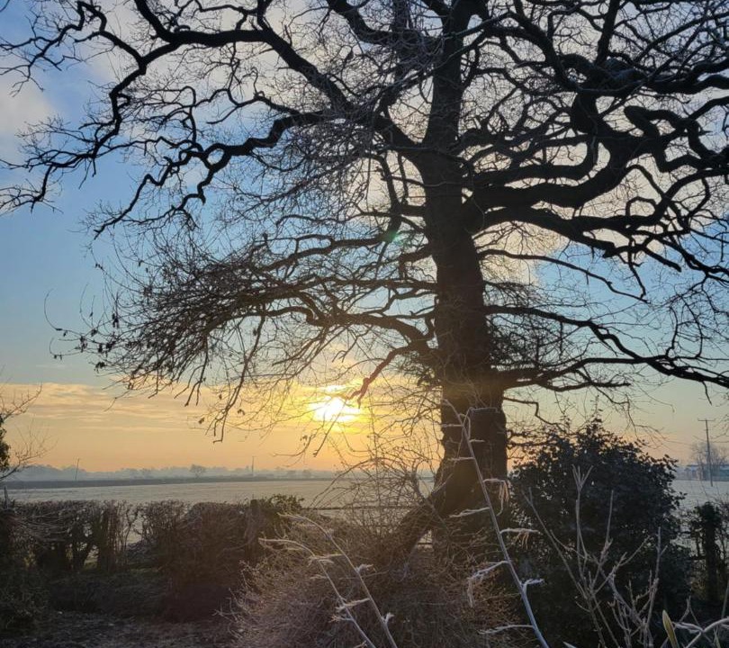 Photo of Others in Padeswood