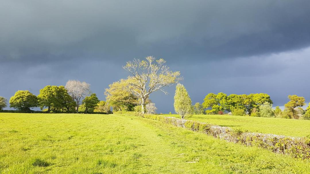 Photo of Others in Ewhurst Green