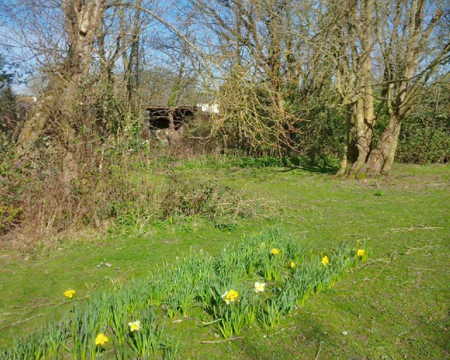 Photo of Outdoor in Ewhurst Green