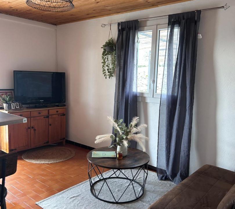 Photo of Others in Mane