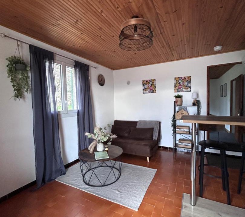 Photo of Others in Mane