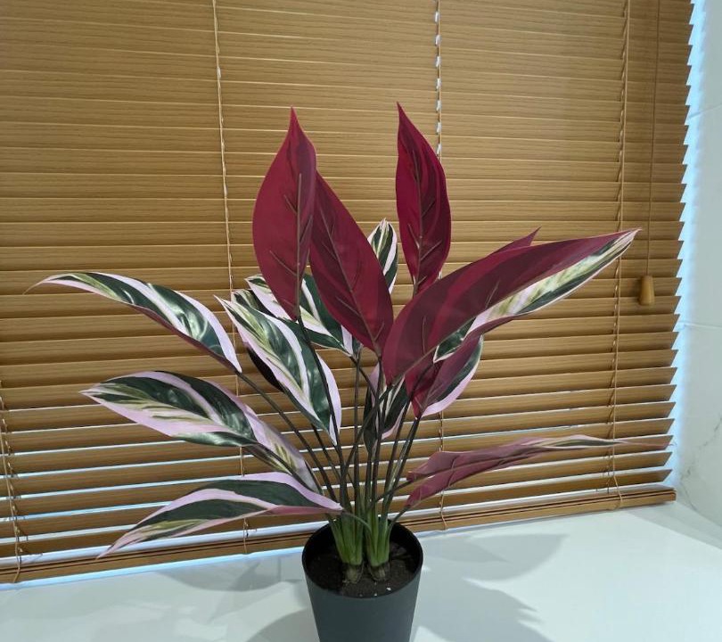 Photo of Others in Shobdon