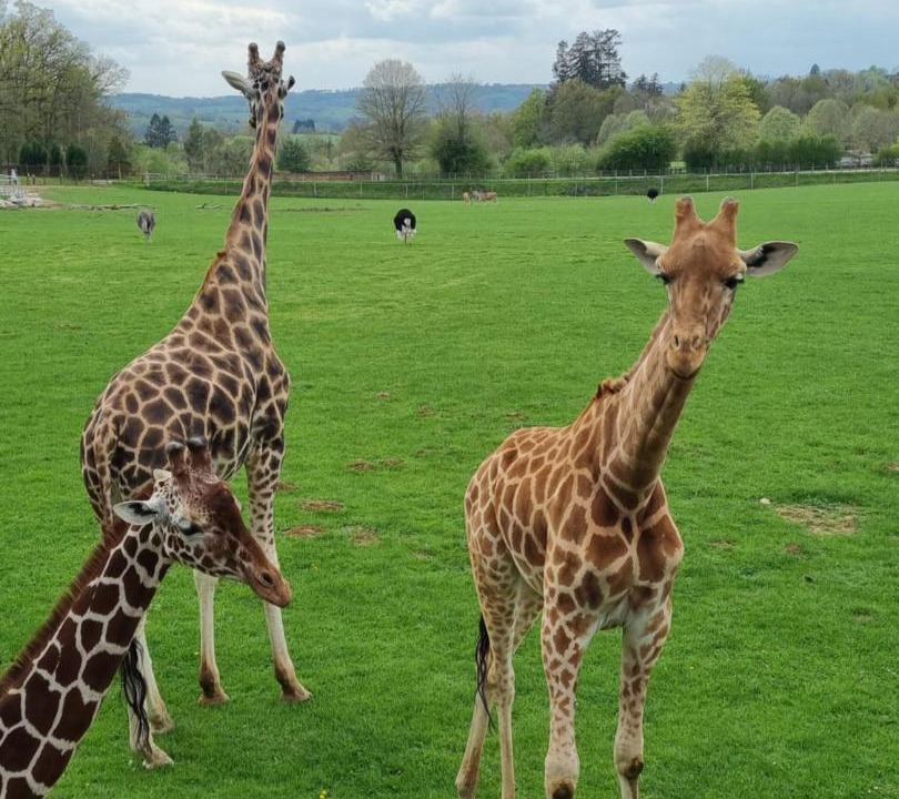 Photo of Others in Le Vigen