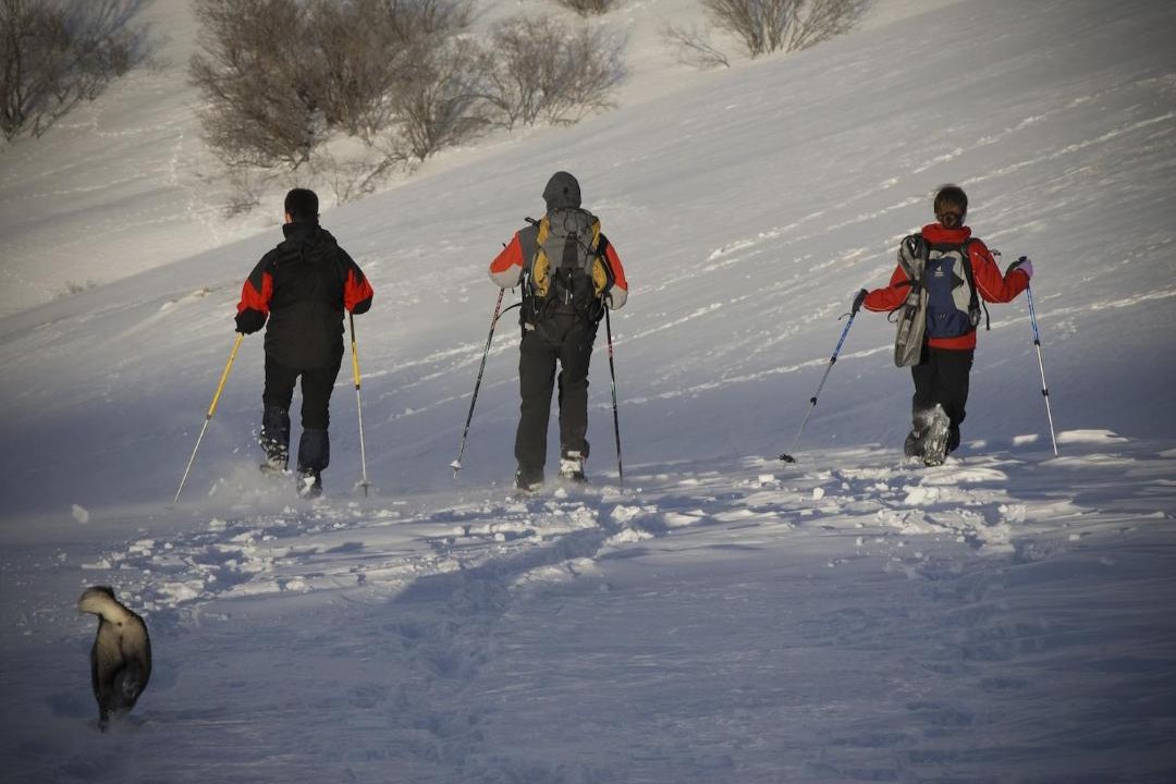 Photo of Others in Orlu