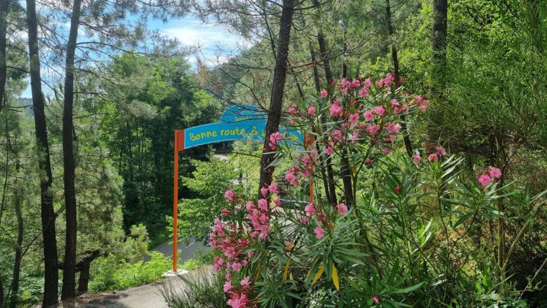 Photo of Outdoor in Joyeuse