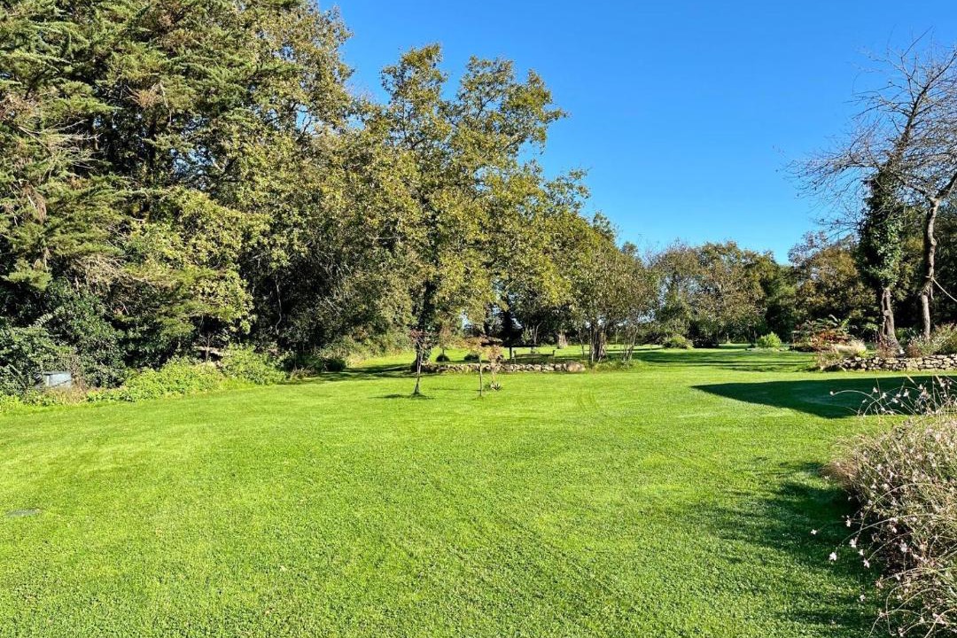 Photo of Others in Pluneret