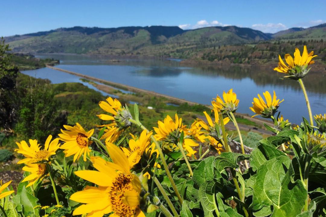 Photo of Others in The Dalles