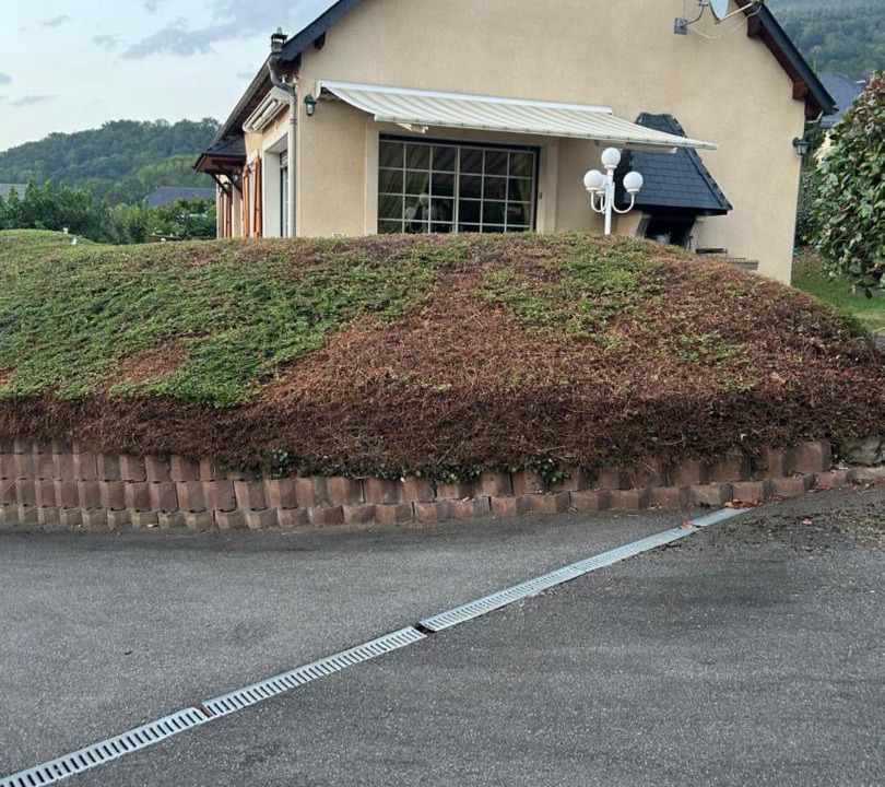 Photo of Others in Artalens-Souin