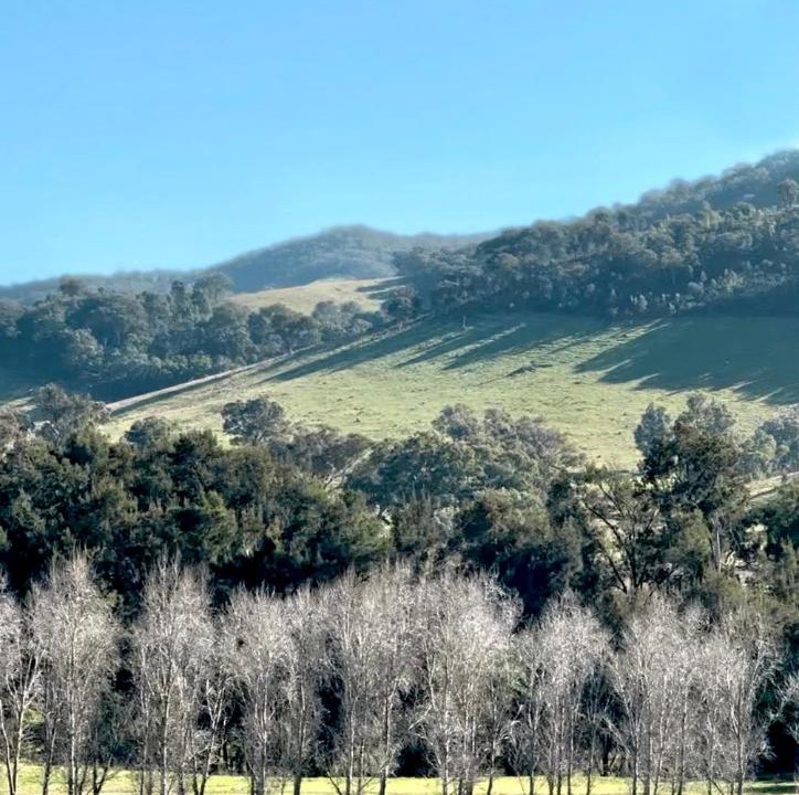 Photo of Others in Apple Tree Flat