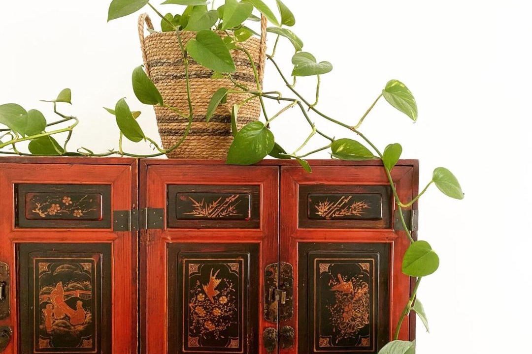 Photo of Others in Geelong West