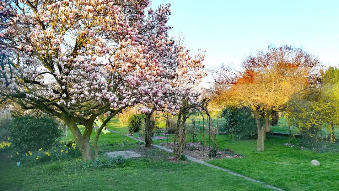 Photo of Others in Bertry