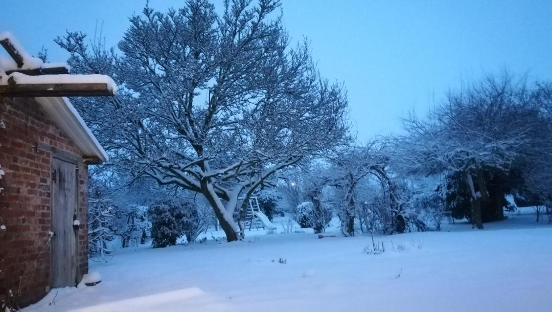 Photo of Others in Bertry