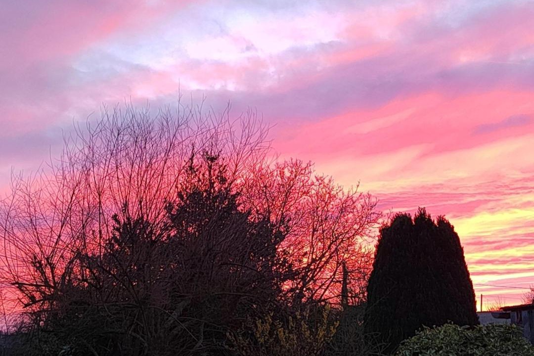 Photo of Others in Bertry