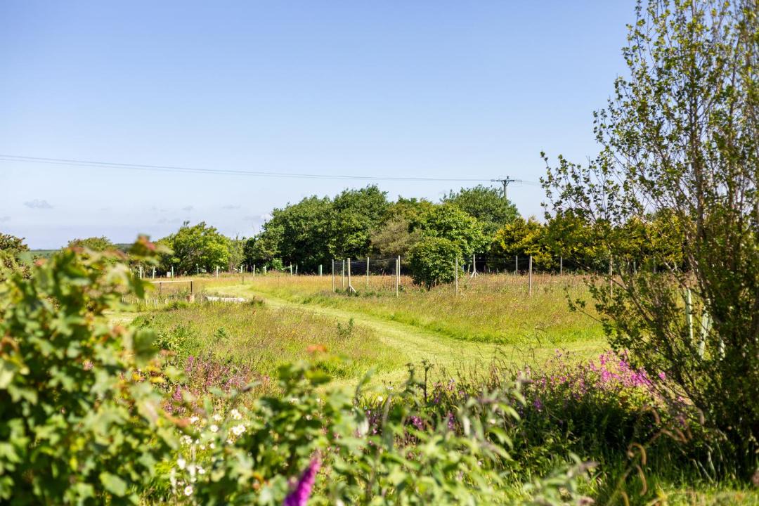 Photo of Others in Penryn