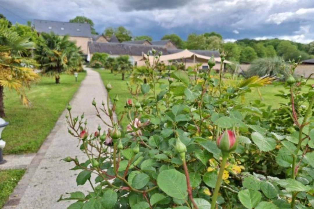 Photo of Outdoor in Fye