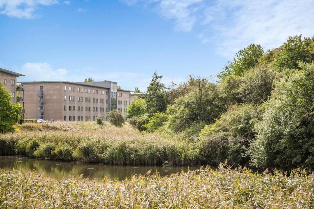 Photo of Others in Ballerup