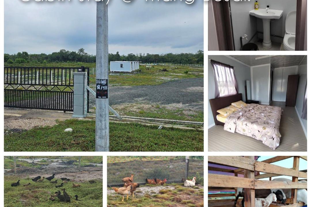 Photo of Others in Tekek