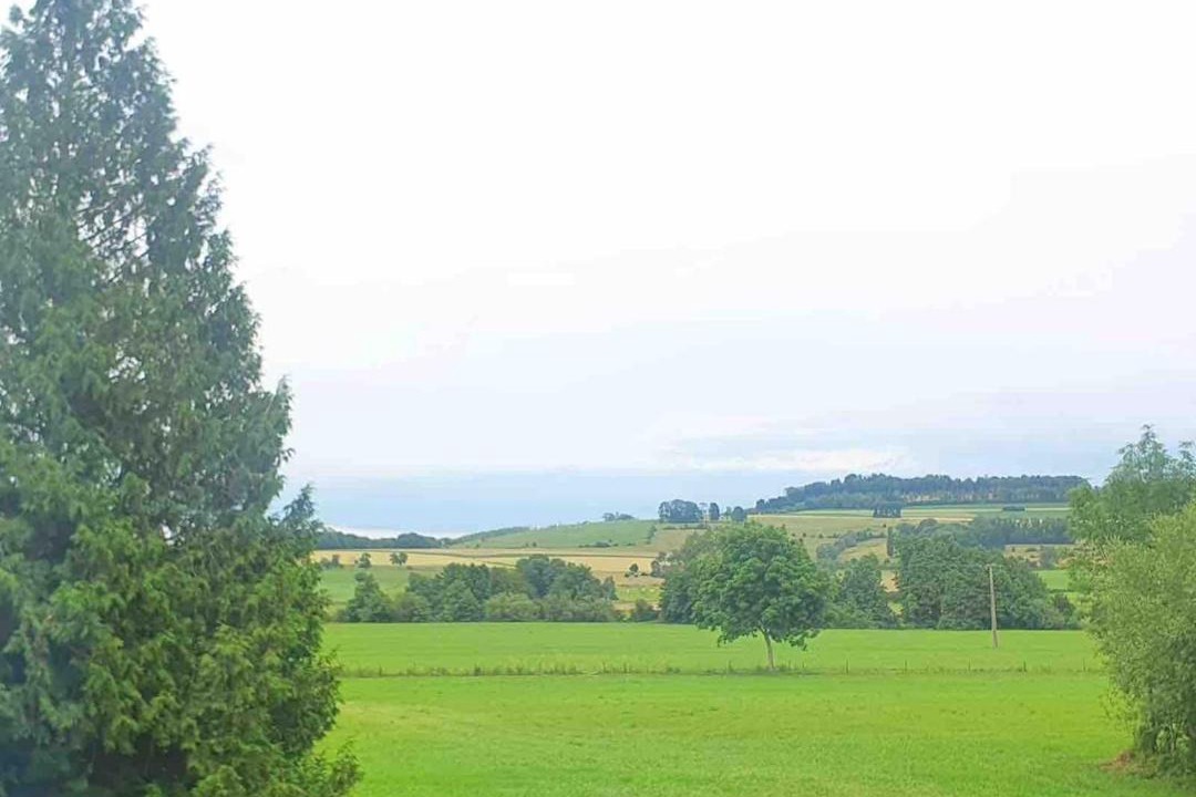 Photo of Others in Dom-le-Mesnil