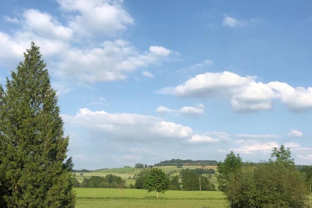 Photo of Others in Dom-le-Mesnil