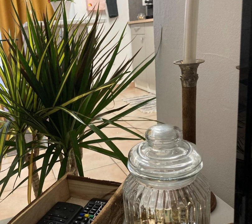 Photo of Others in Miplaine