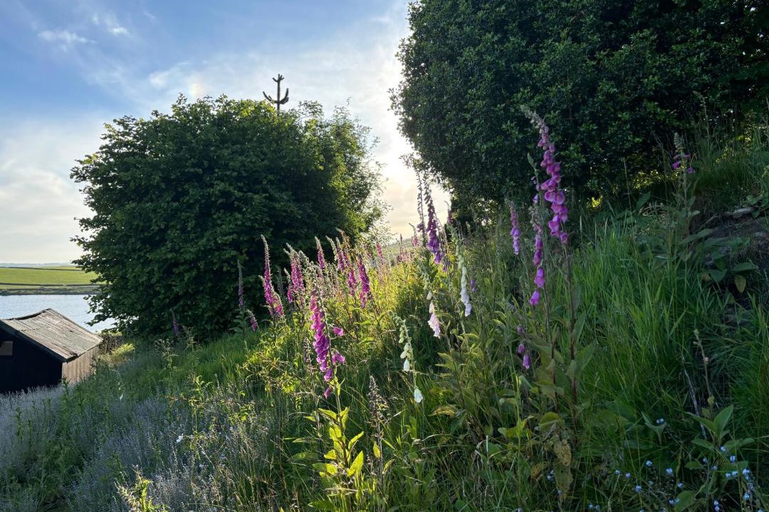 Photo of Others in Embsay