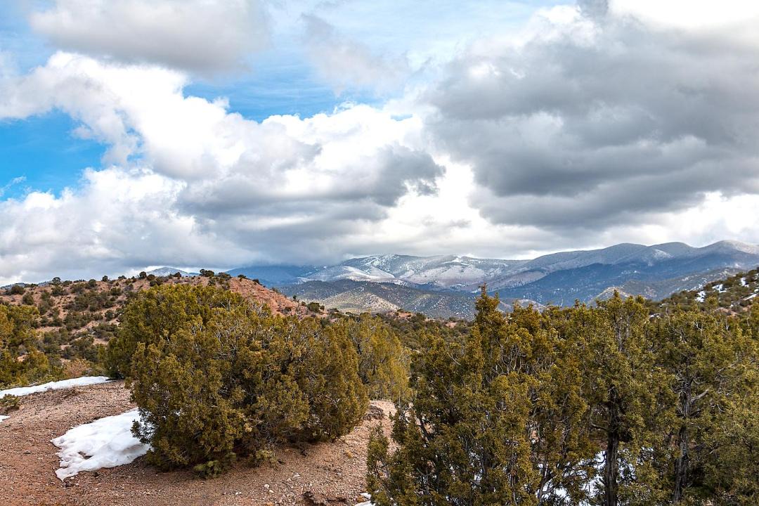 Photo of Others in Tesuque Hills
