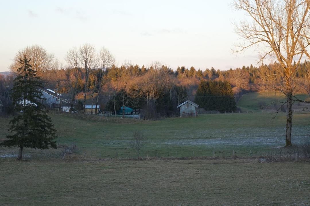 Photo of Others in Saint-Laurent-en-Grandvaux