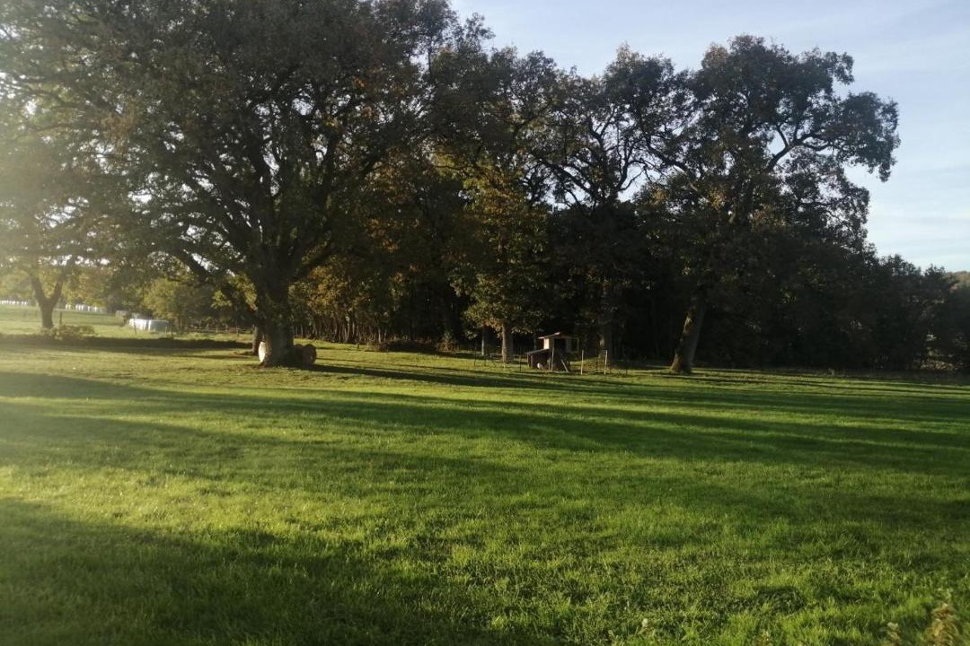 Photo of Others in Le Burgaud