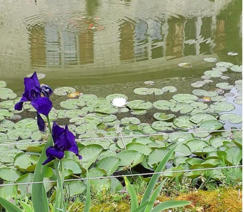 Photo of Others in Saint-Paul-les-Monestier