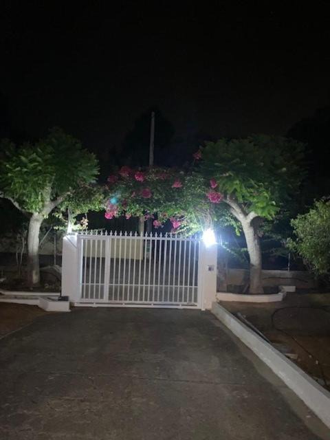 Photo of Outdoor in Alzira