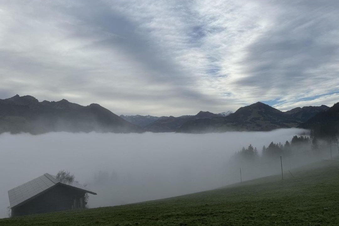 Photo of Others in Zweisimmen