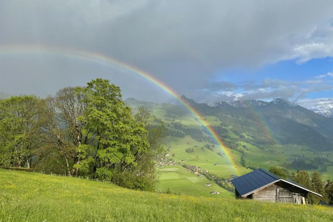 Photo of Others in Zweisimmen