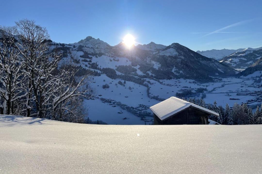 Photo of Others in Zweisimmen