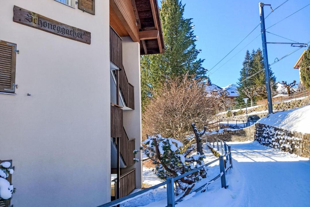 Photo of Others in Wengen